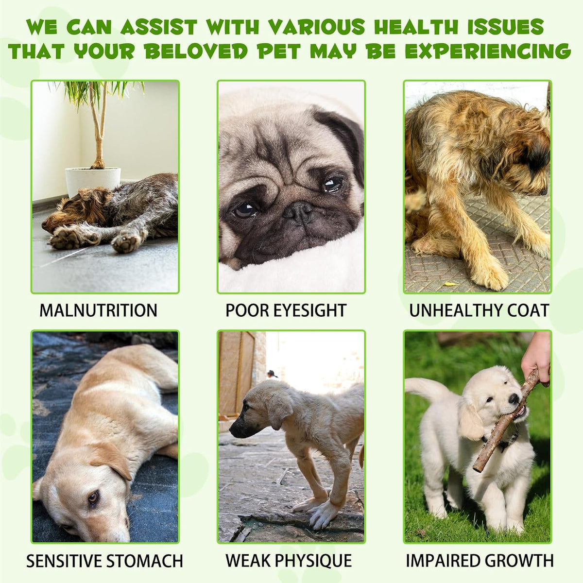 ALIVO 3-in-1 dog probiotic liquid supplement product label close up