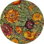 Exotic Nutrition Dandelion Delicacy high fiber dried herb mix close up view
