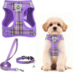 Pupteck dog harness front view in purple plaid