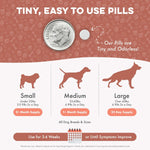 BestLife4Pets coat health restorer for dogs experiencing patchy fur and hair loss.