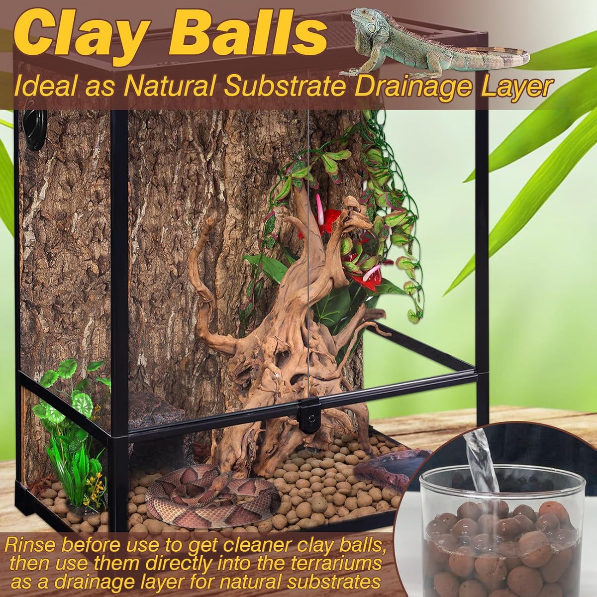 Bioactive terrarium tank setup with a visible bottom layer of lightweight clay drainage pebbles