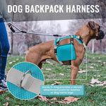 Dora Bridal outdoor pet pack highlighting the reinforced top control handle