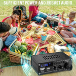 Sunbuck mini amplifier packaging and unit layout for home audio