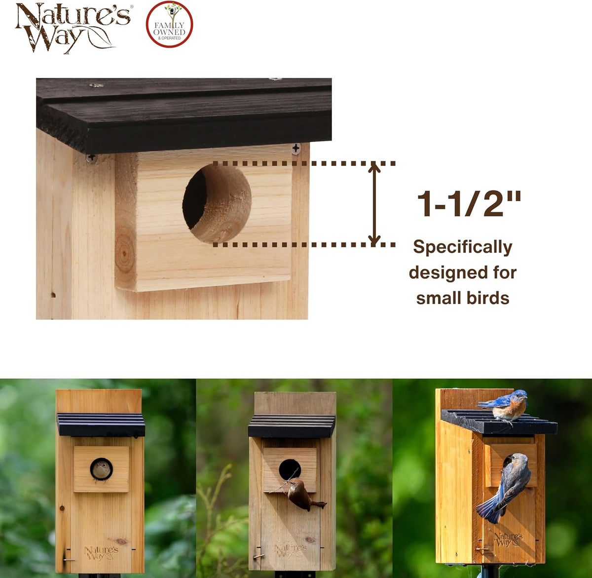 Nature Way cedar bluebird box house interior fledgling kerfs