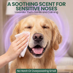 Bark And Clean USA imported dog wipes for paws and butt cleaning.