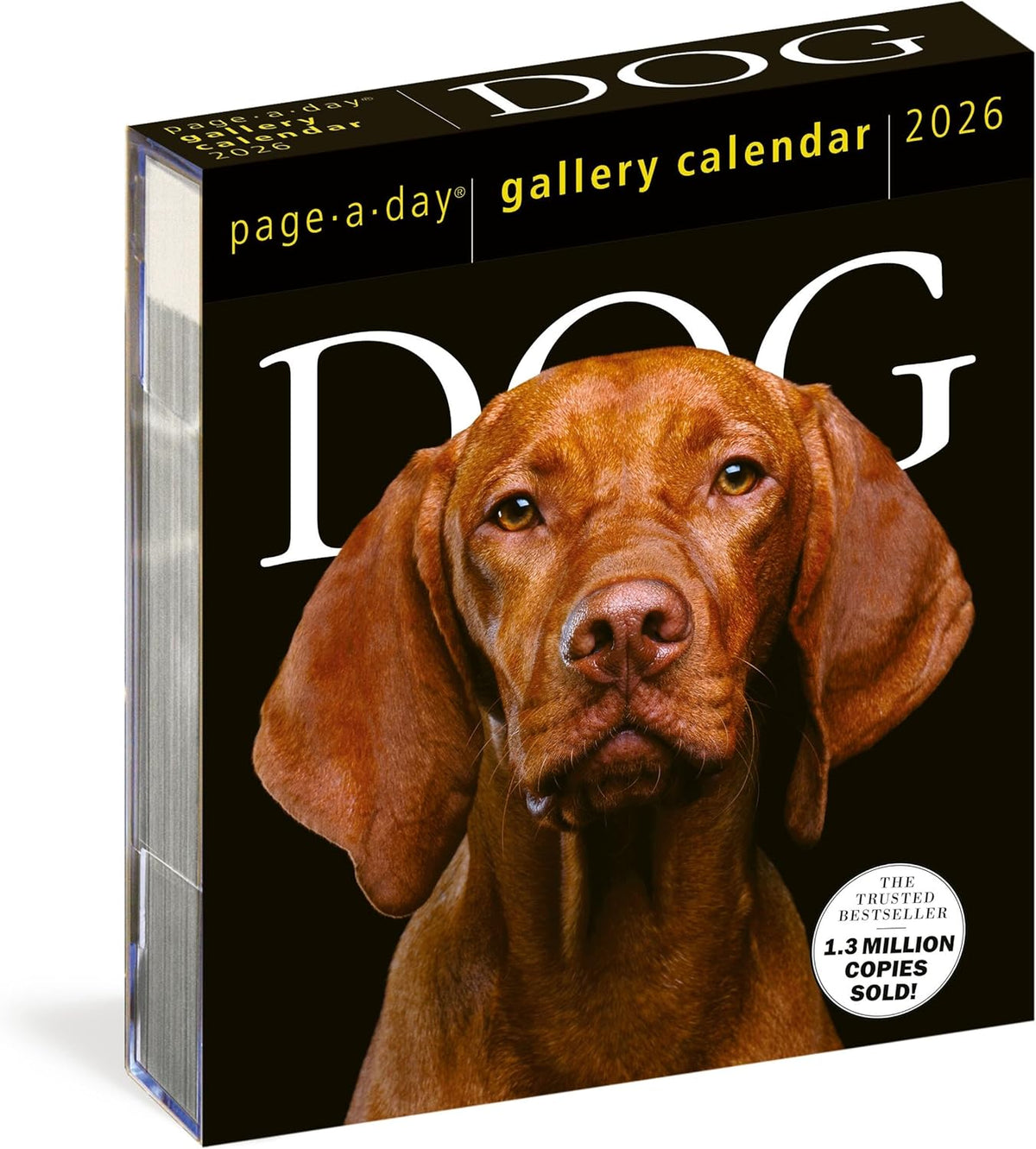 Dog Page-A-DayÂ® Gallery Calendar 2026: An Elegant Canine Celebration - Image 1