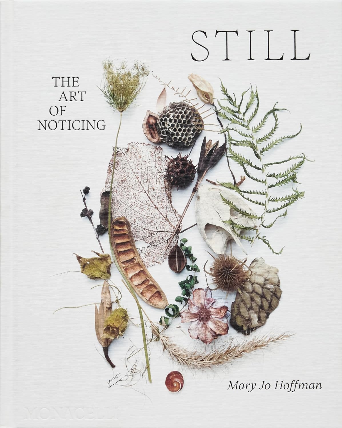 STILL: The Art of Noticing - Image 1