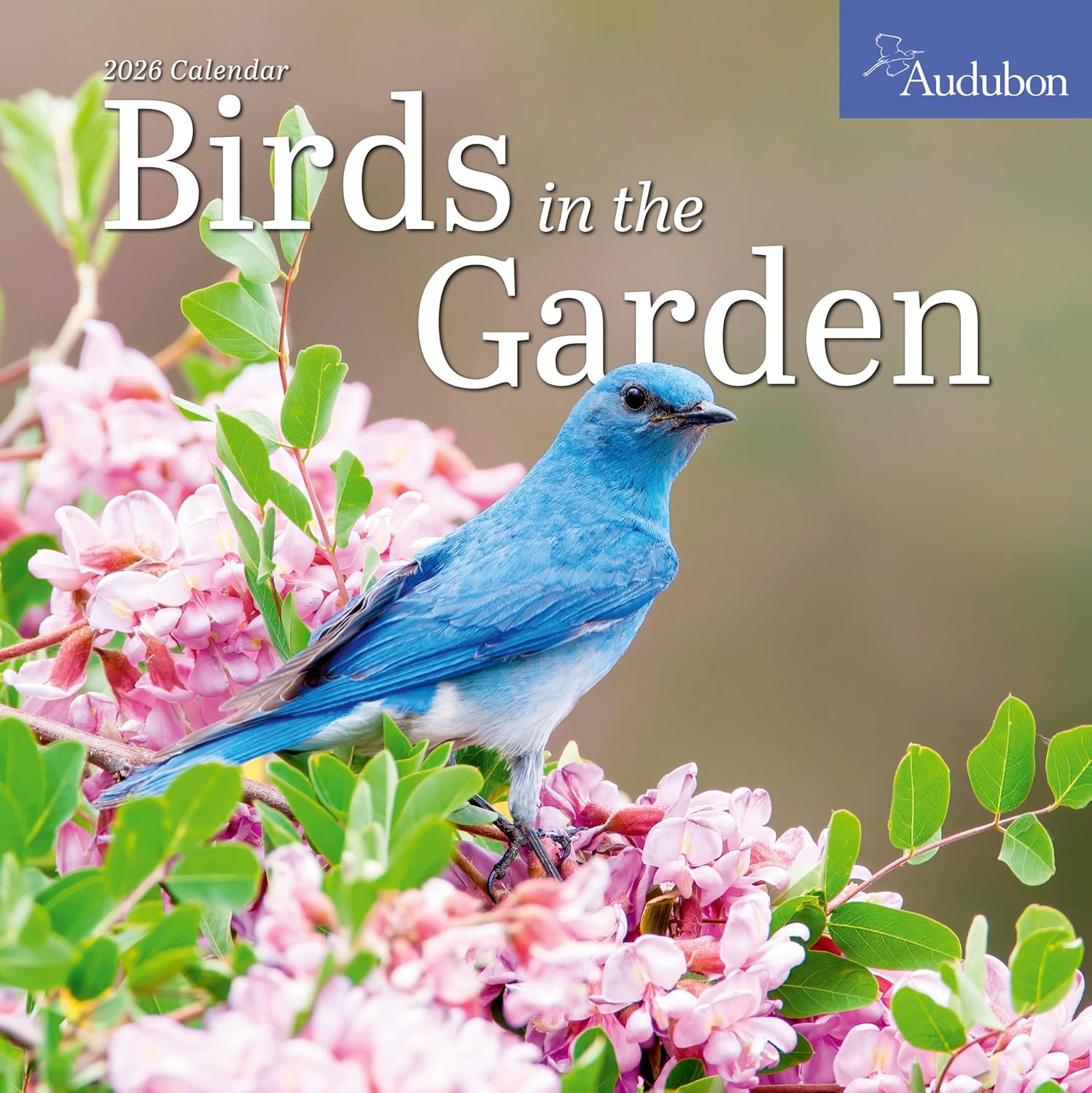 Audubon Birds in the Garden Wall Calendar 2026: Use Native Plants to Attract Birds and Pollinators to Your Backyard - Image 1