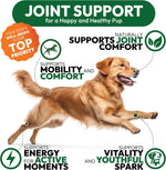 Petsology glucosamine chews bottle with dog breed examples