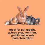 Nutritious cranberry and orange flavored crunchy bites for pet immune health support.