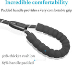 iYoShop reflective dog leash glowing under low-light conditions for night safety