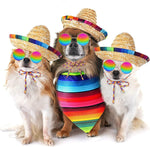 Full set of Ramede dog fiesta costume accessories displayed