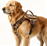 Lulupet tactical dog harness front view on large dog