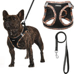 AMTOR Small Dog Harness with Leash Set, No Escape Easy Walk Puppy Harnesses for Training Walking, Step-in Reflective Soft Dogs Vest for XS S Medium Extra-Small Large Sized Dog(Purple,XL) - Image 9