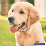 Hartz UltraGuard Plus Flea & Tick Collar for Dogs and Puppies, 7 Month Flea and Tick Prevention and Protection Per Collar, Reflective Orange, up to 22 Inch Neck - Image 7