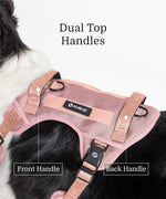 Close up of Fei and Eve harness magnetic buckle system