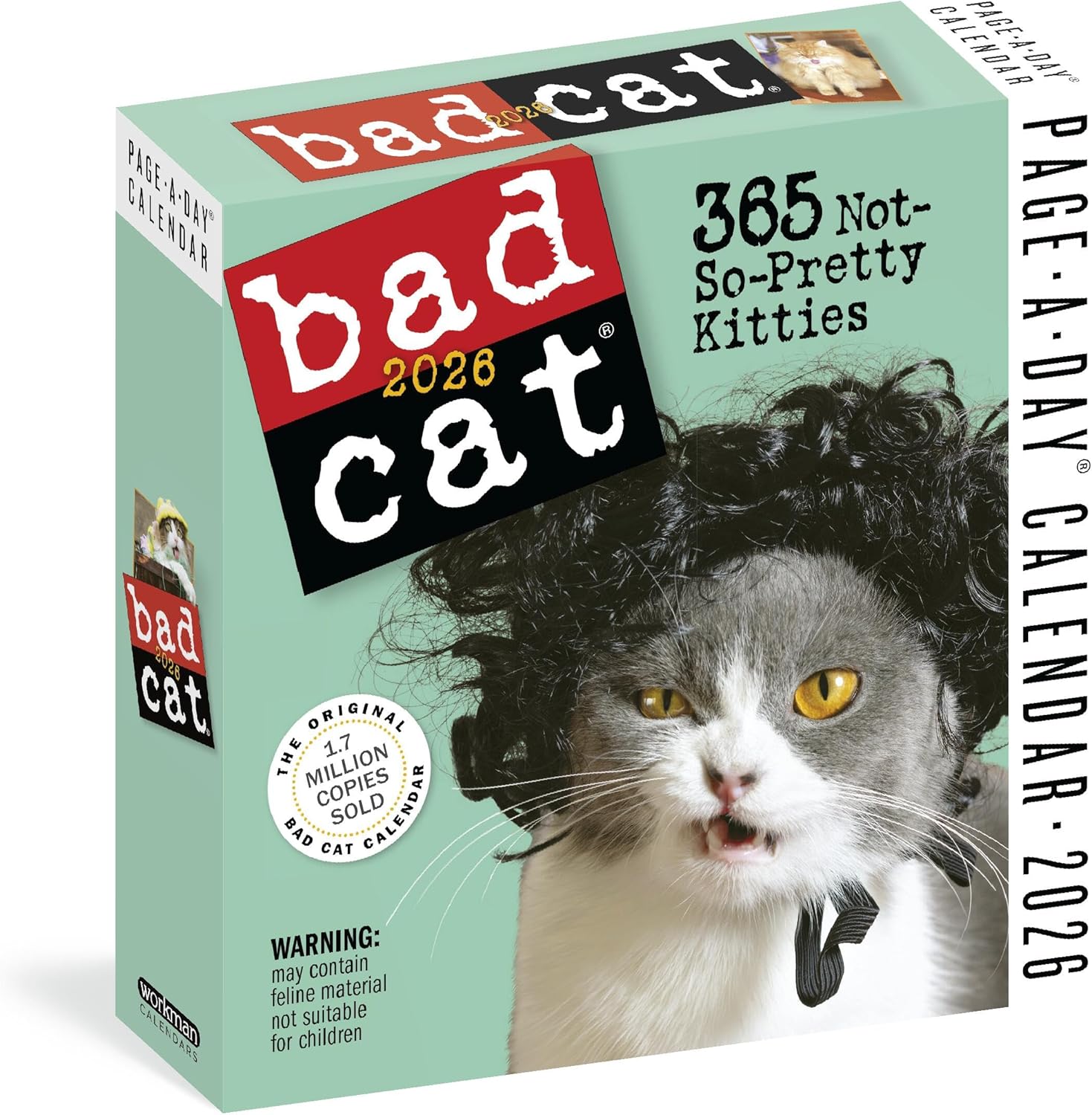Bad Cat Page-A-DayÃ‚Â® Calendar 2026: 365 Not-So-Pretty Kitties - Image 1