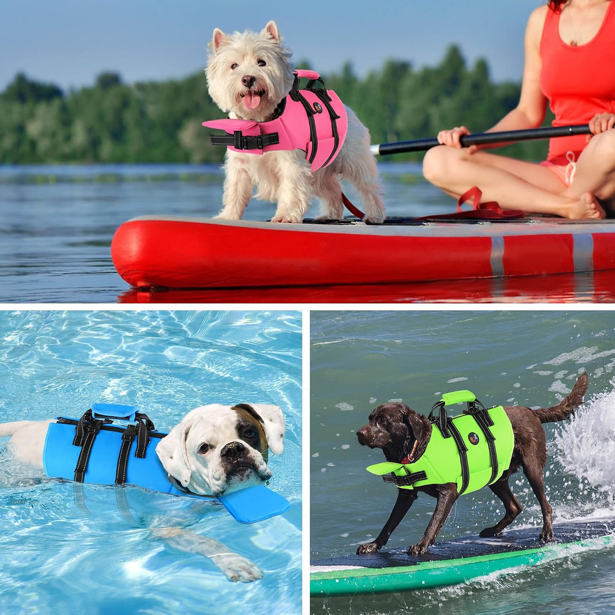 USA imported premium pet safety vest on Dropy India