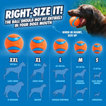 Chuckit! Ultra Ball floating in water for dog fetch.