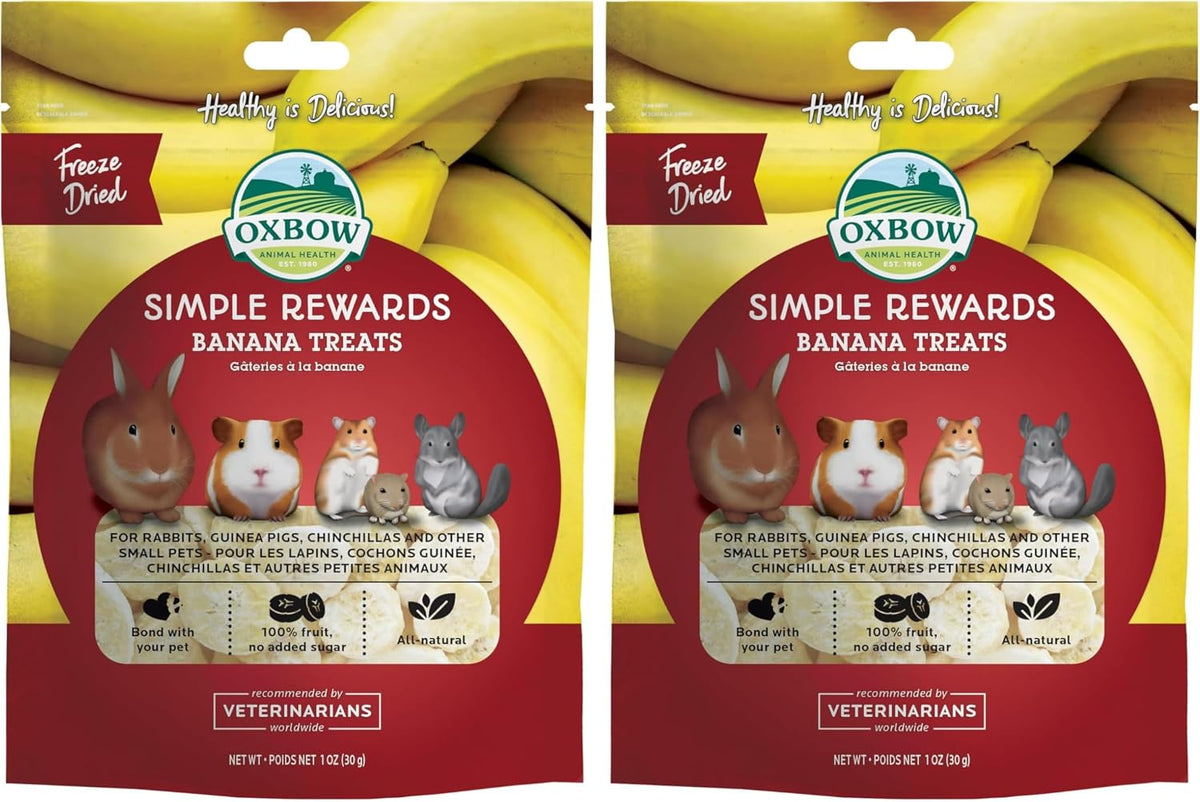 Oxbow Simple Rewards Apple Banana Treats, Timothy Hay Guinea Pig & Bunny Treats, Pet Snack, Made with Oxbow Guinea Pig Hay, Made in USA, Timothy for Rabbit, 3 oz Bag - Image 12