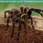 Labeled coconut fiber substrate for snake and lizard enclosures
