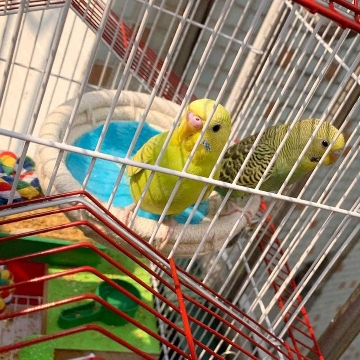 Hamiledyi parakeet breeding bed hanging in birdcage