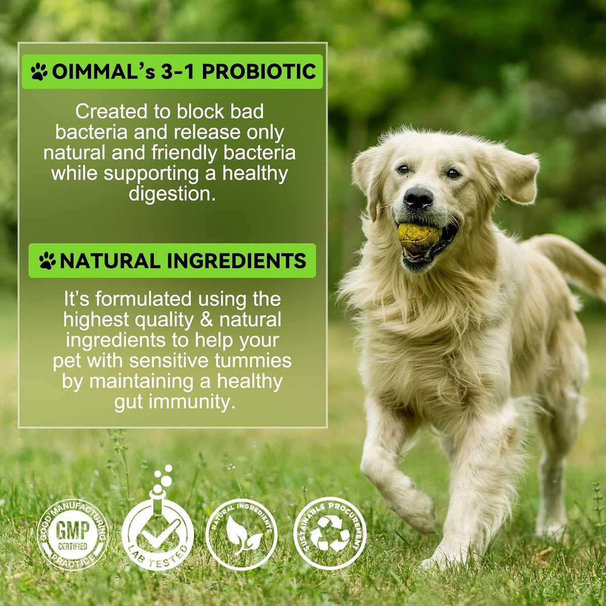 ALIVO 60ml dog probiotic bottle angled view showing brand identity