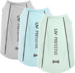 Dog safety apparel for summer evening walks
