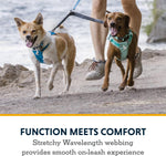 Ruffwear dual dog extension showing the swiveling lockable Crux Clips.
