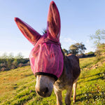 Yeyeplum rose red mini donkey fly mask with ear protection front view
