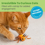 Kitten playing with Catstages ant dental toy