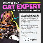 Jackson Galaxy pet odor remover tablet dissolving in water
