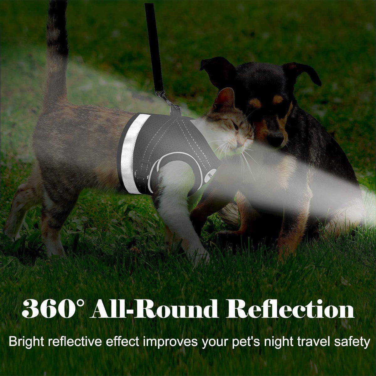 AVCCAVA small pet harness double D-ring leash attachment