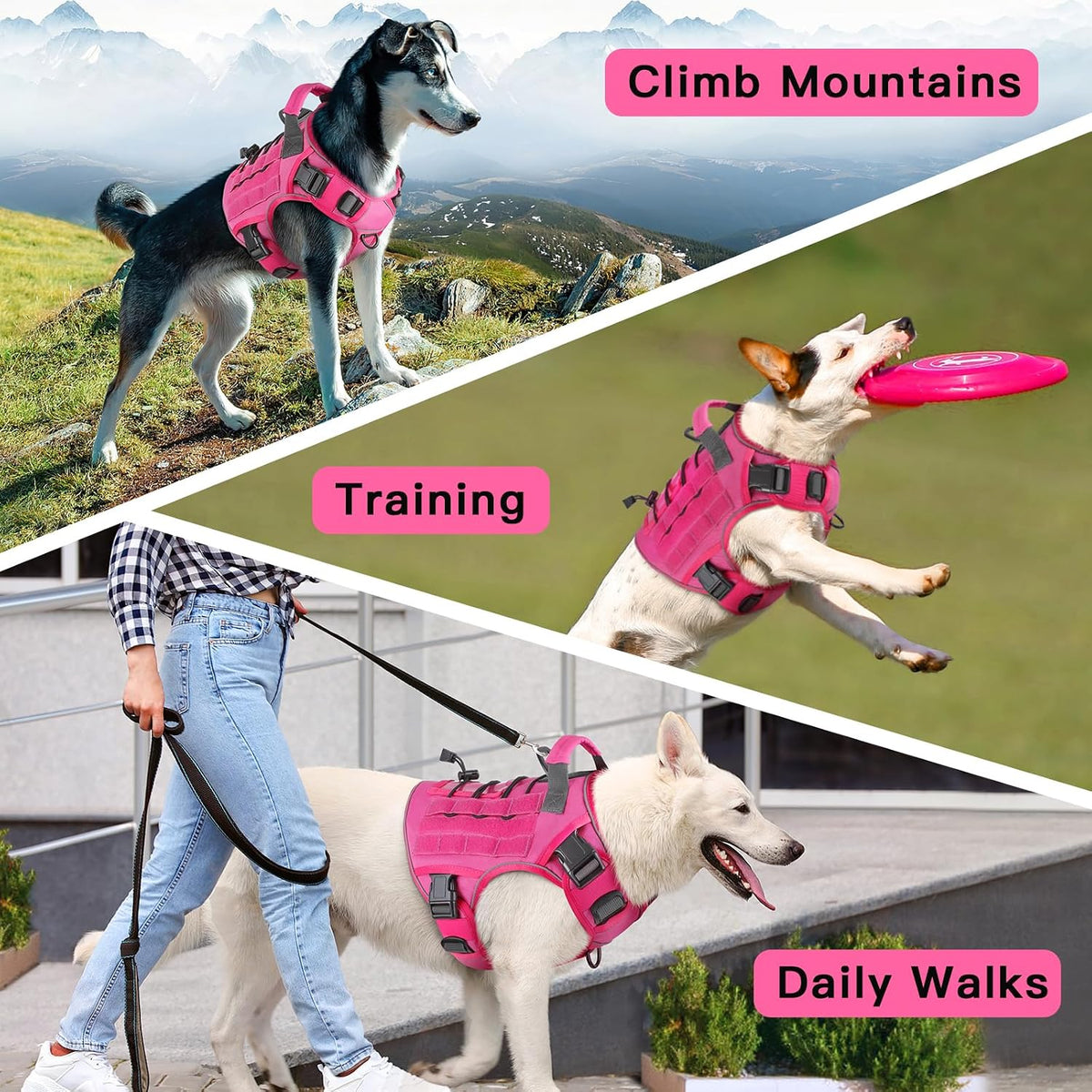 WINGOIN Black Tactical Dog Harness for Small Dogs,No Pull Dog Harness | Heavy Duty with Handle,Adjustable Reflective,Military K9 Body Pet Vest,for French Bull Pugdog,for Walking Training Running - Image 11