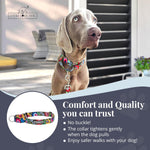 Authentic USA imported Lucky Love Dog adjustable walking collar in Blackbird design.