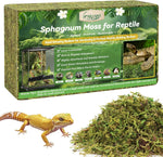Legigo 2.6LB Sphagnum Moss for Reptile- 48QT Natural Reptile Moss Terrarium Moss Substrate, Snake Tank Moss Peat Moss Reptile Bedding for Snake, Gecko, Ball Python, Frog and Orchids Plants - Image 9