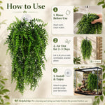 Close up of Hercocci silk leaves and reptile habitat decor