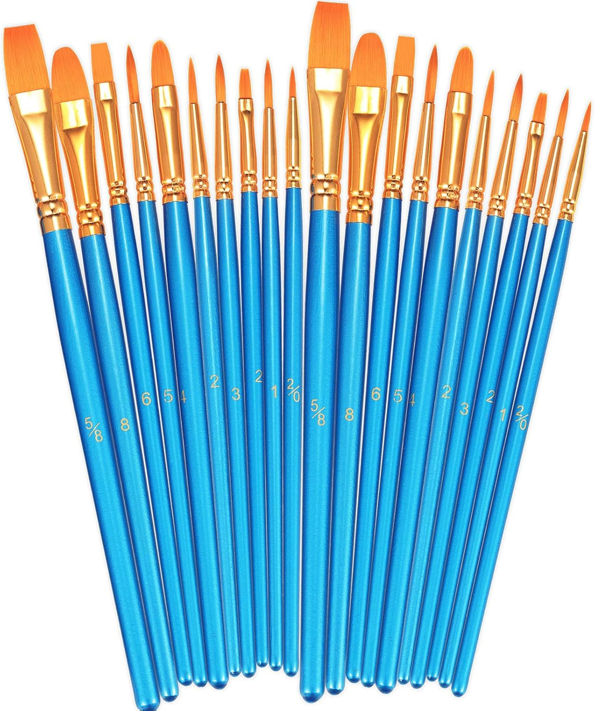 BOSOBO Paint Brushes Set 20 Pieces front view overview