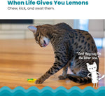 Catstages Dental Lemon Teether textured surface close up