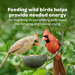 Wild birds eating from a feeder filled with Kaytee seed blend