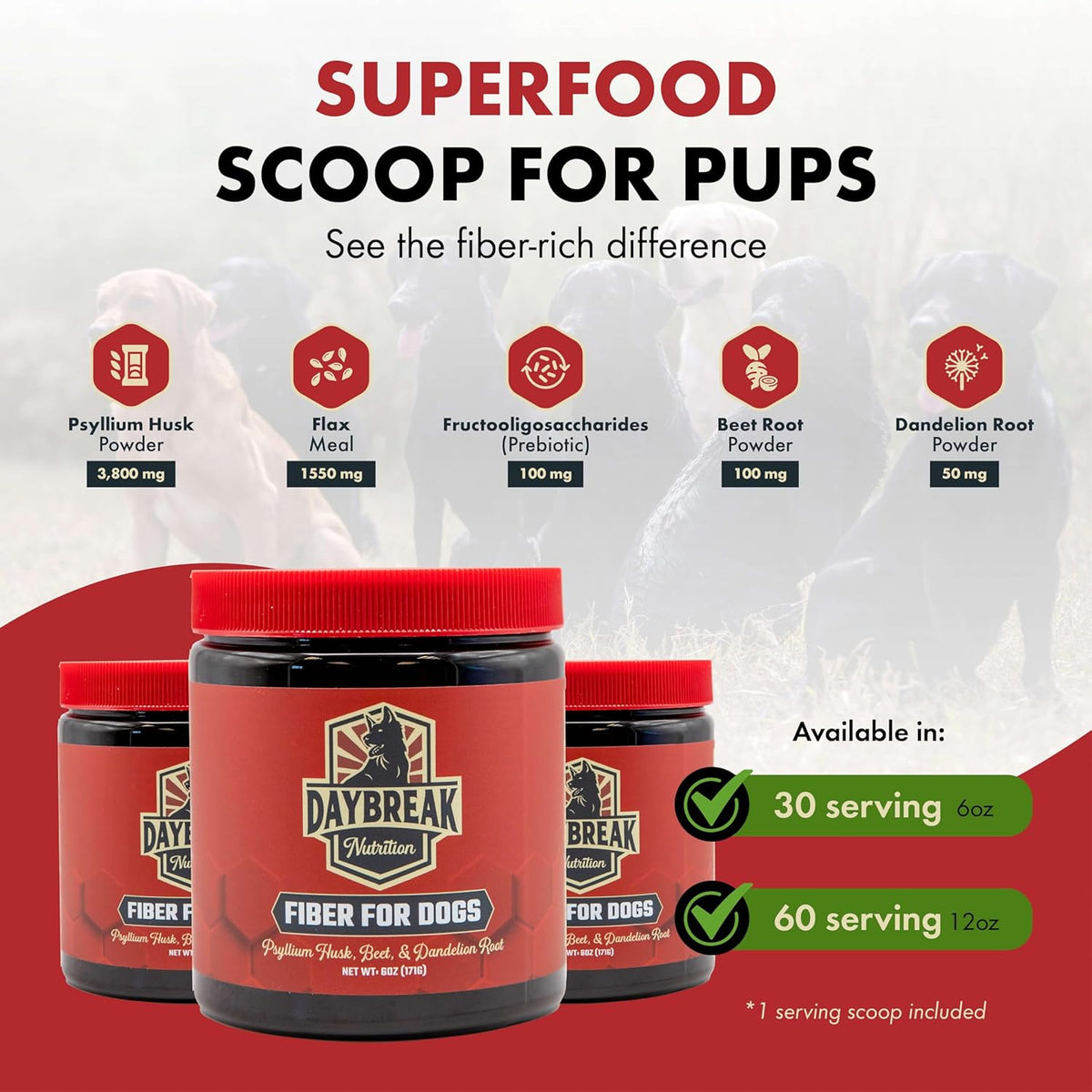 Dog eating food mixed with Daybreak Nutrition fiber powder