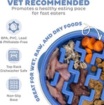 Medium 2 cup capacity interactive pet bowl filled with dry kibble.