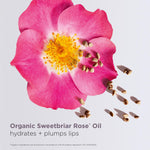 Clarins botanical oil lip formula box packaging