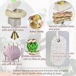 Natural wooden bird perch stand attachment detail