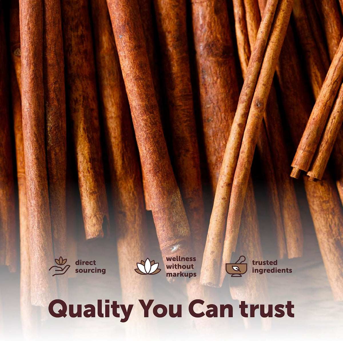 Micro Ingredients organic cinnamon sticks texture and bark detail