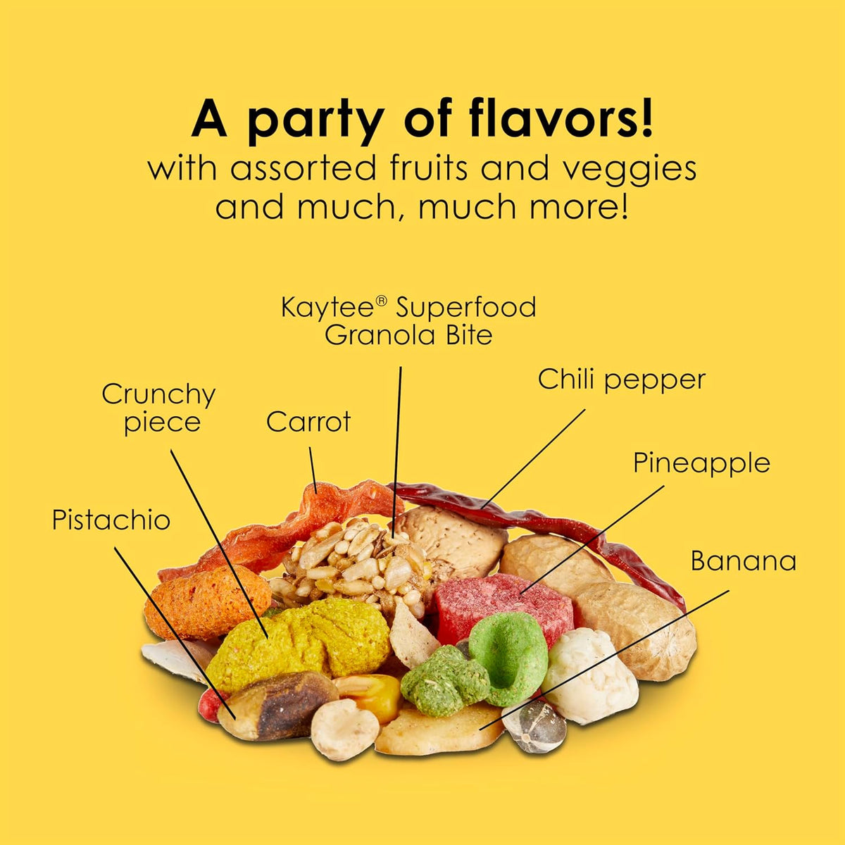 Kaytee Fiesta bird food blend in a feeding dish