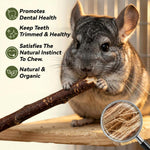 Sukh applewood twigs for rabbit and guinea pig dental health