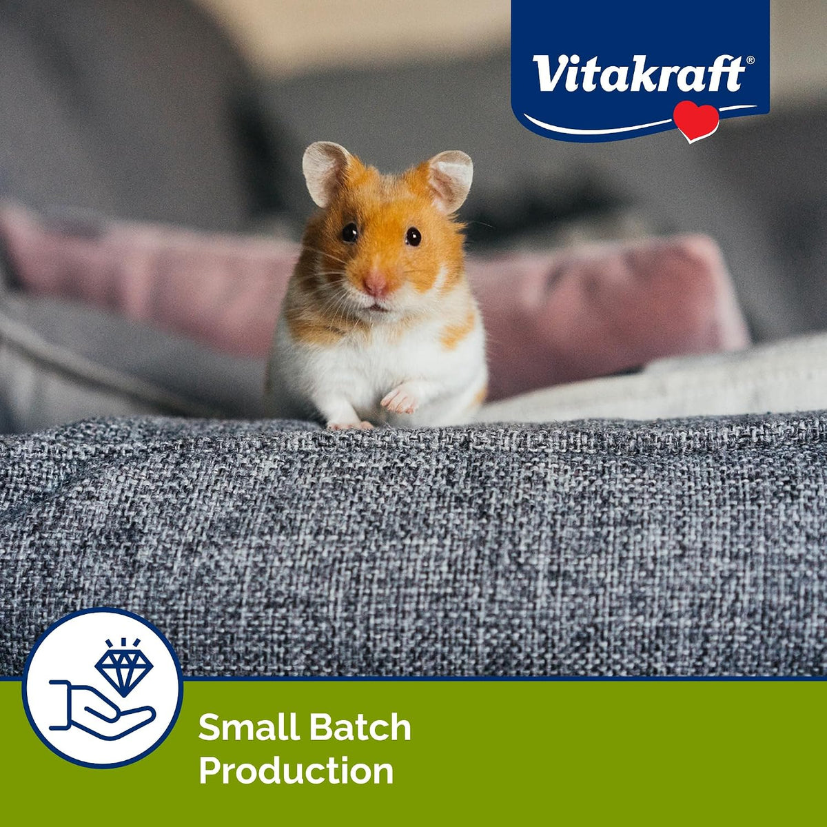 Imported Vitakraft small pet treats for bonding and training