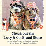 Lucy And Co. denim harness showing front D-ring
