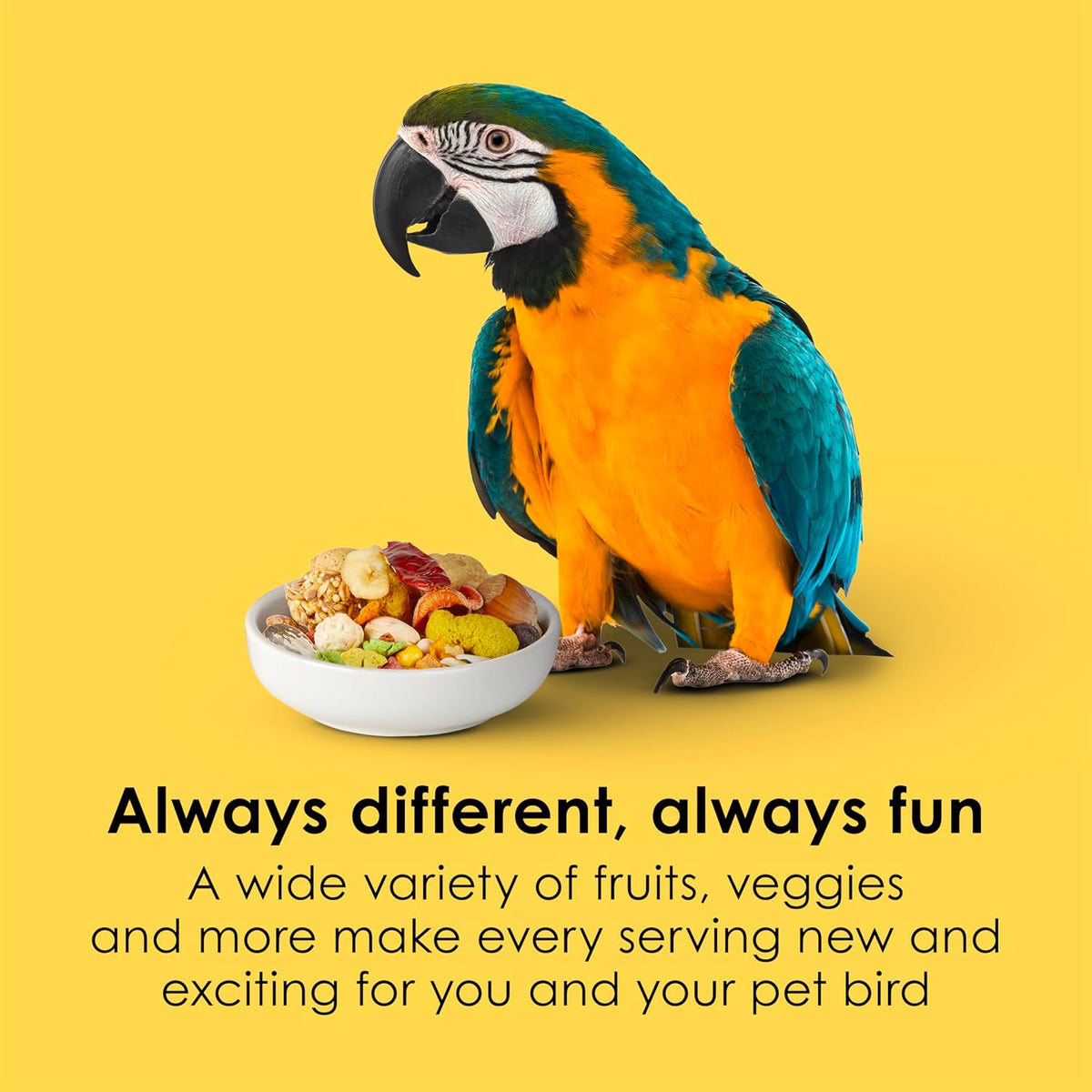 Back of Kaytee Fiesta Macaw food bag showing nutritional information